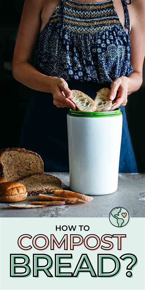 Can you compost bread. Things To Know About Can you compost bread. 